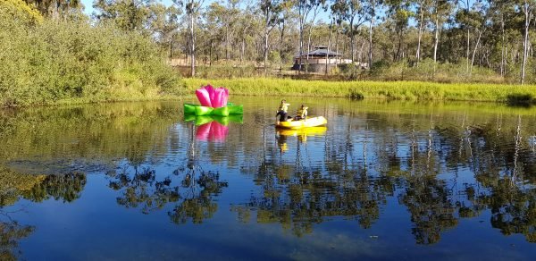 Lillies installation