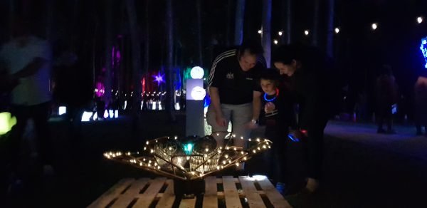 Luminous 2019 - Pallet Gallery by Katrina Elliott