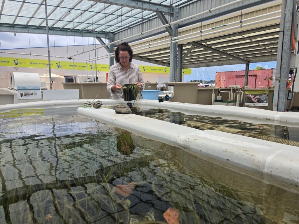 Artist in residence CMERC