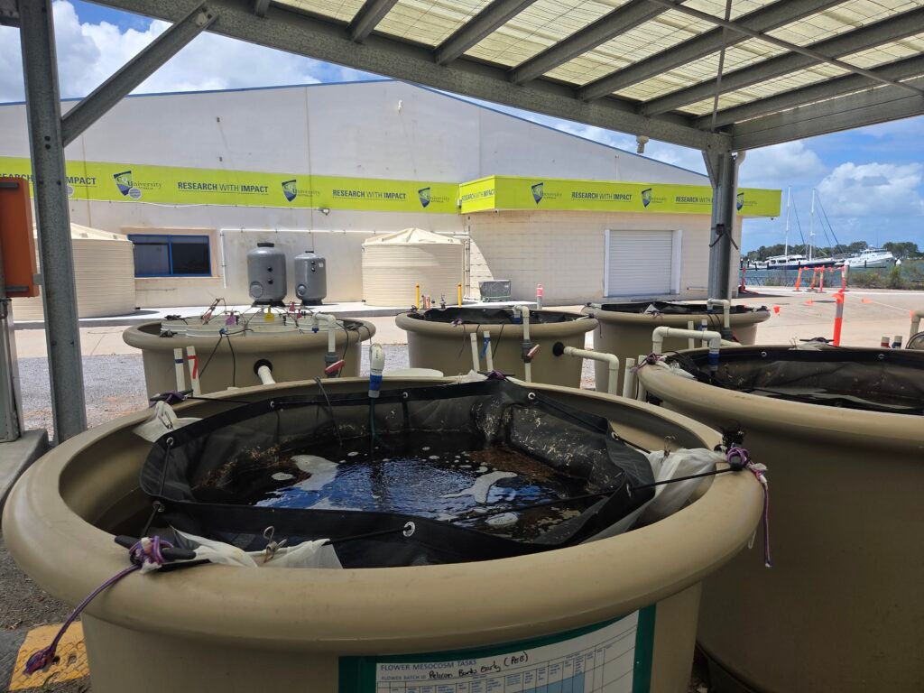 Artist in residence CMERC