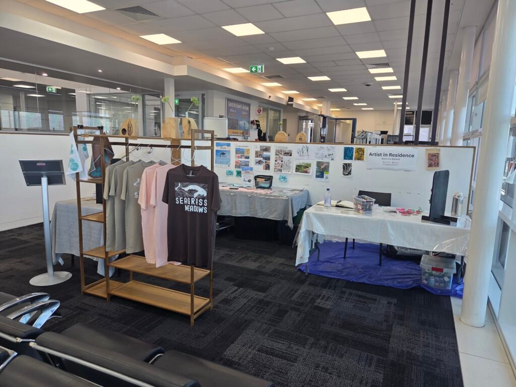 Artist in Residence Gladstone Airport Katrina Elliott