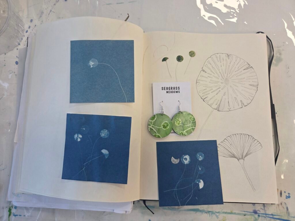 Artist in Residence Gladstone Airport Katrina Elliott