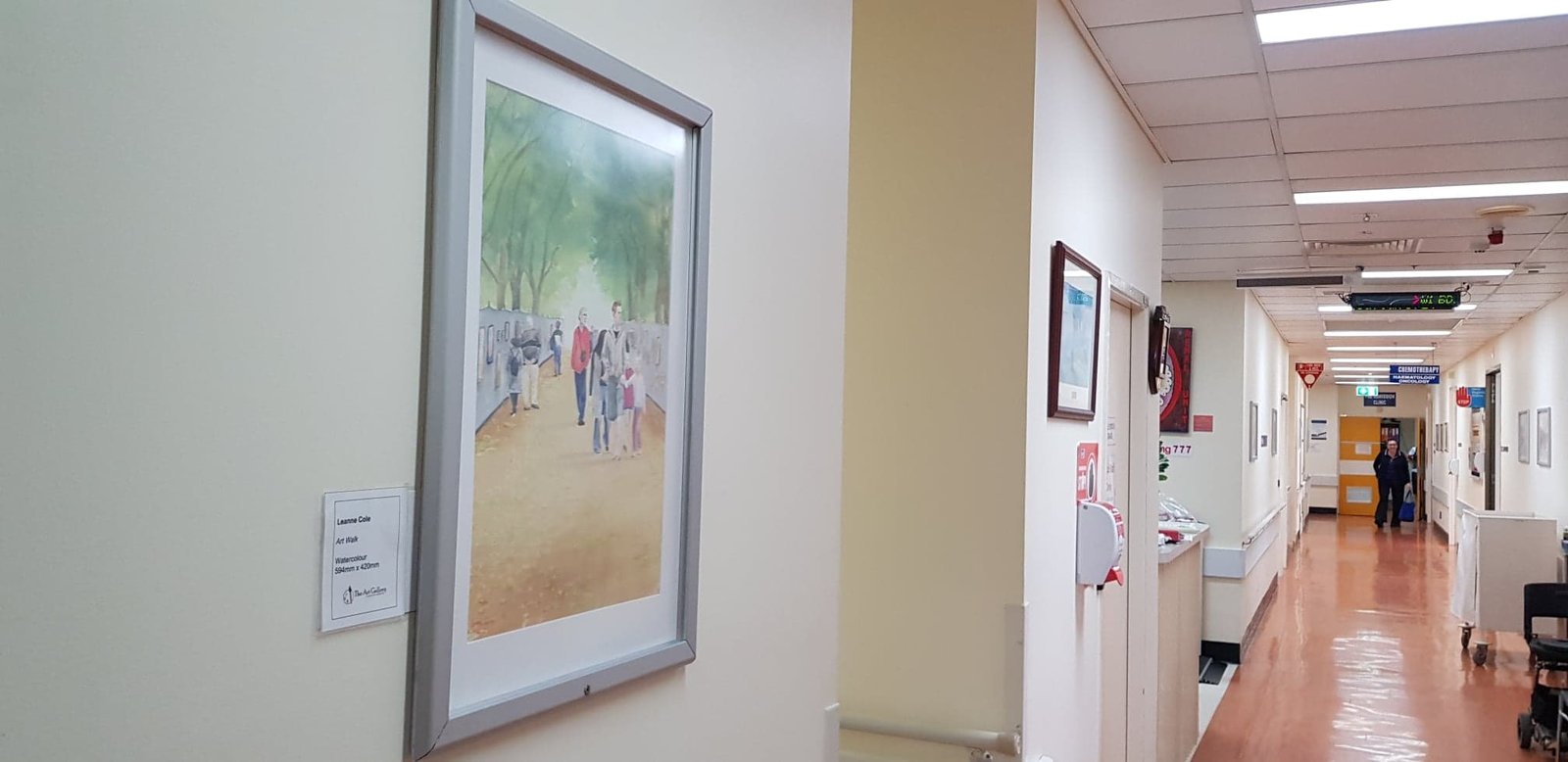 Local Artist Gallery Gladstone Hospital