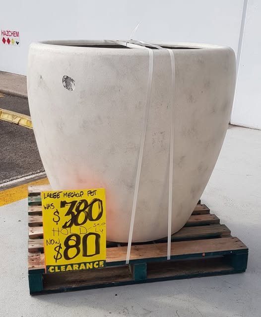 65051865_473826083366170_4023529391572123648_n