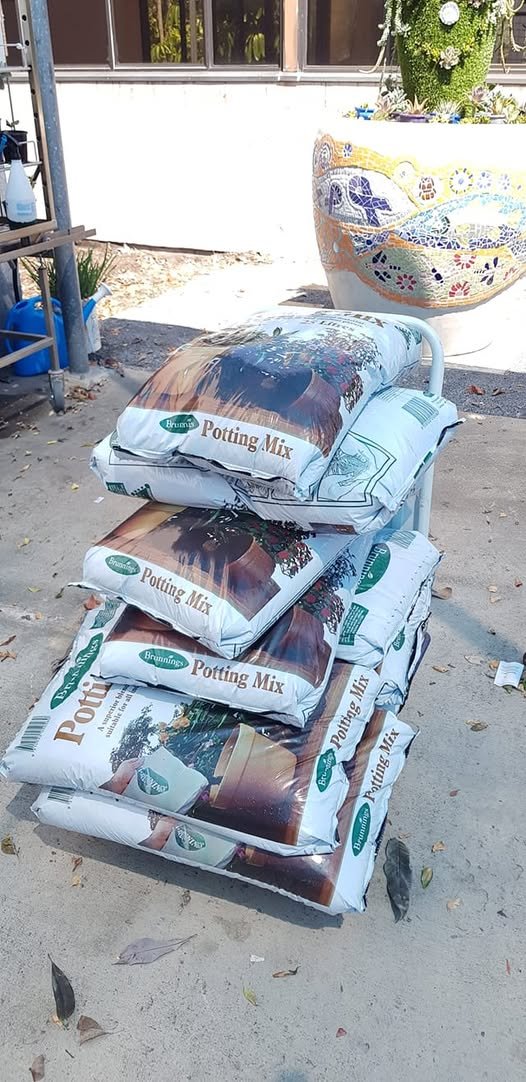 71862170_538758460206265_2016760644694441984_n