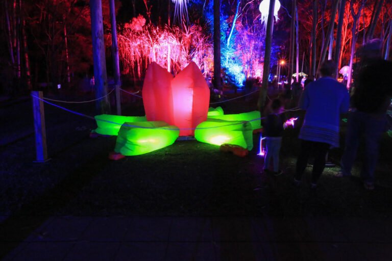 Japanese Teahouse Lilly